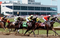 Prairie Meadows Racetrack